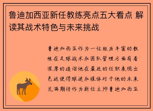 鲁迪加西亚新任教练亮点五大看点 解读其战术特色与未来挑战