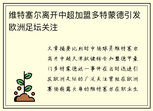 维特塞尔离开中超加盟多特蒙德引发欧洲足坛关注